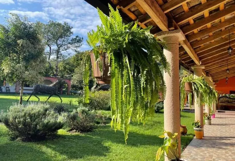 Hotelli Boutique Finca De La Niebla Coatepec