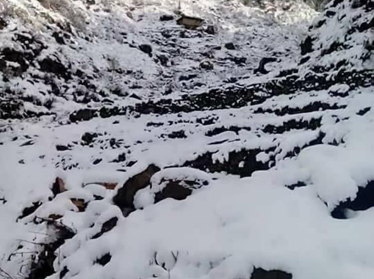 هتل Fr Darya E Swat