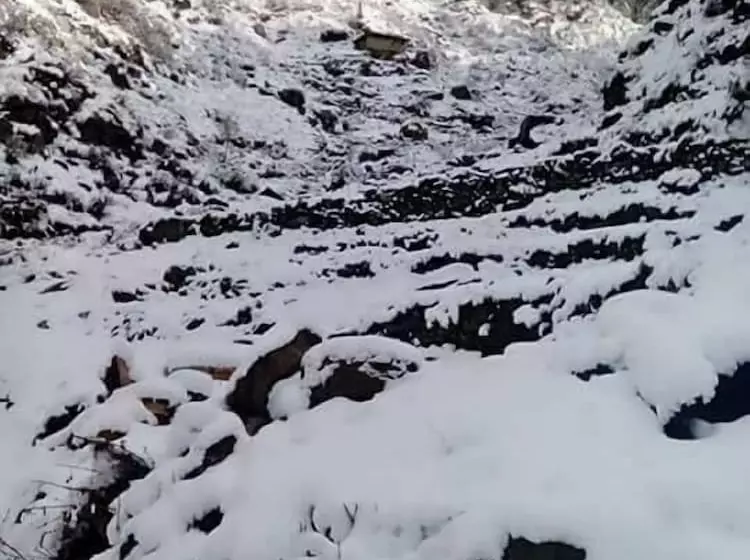 هتل Fr Darya E Swat