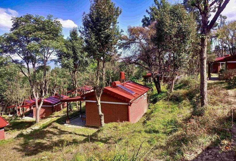 酒店 Himalayan Village Sonapani