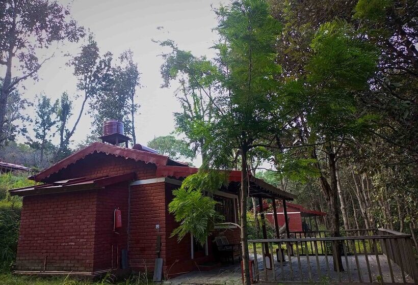 酒店 Himalayan Village Sonapani