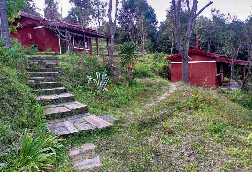 酒店 Himalayan Village Sonapani