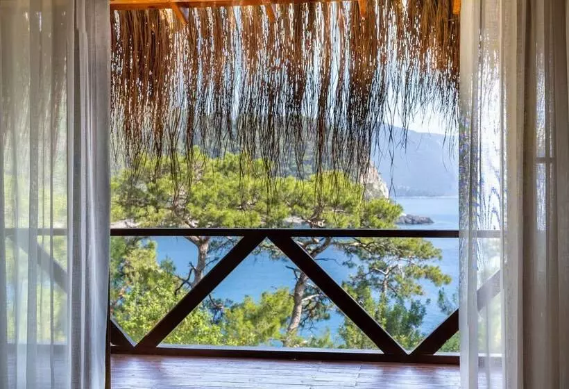 Hotelli La Boheme Kabak