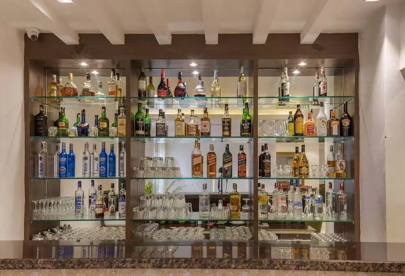 Mourya Hotel Pvt. Ltd