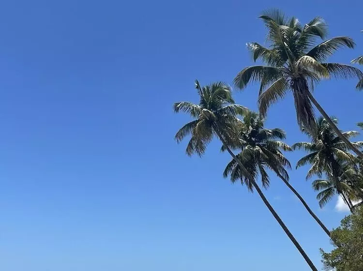 ホテル Pousada Horizonte Azul