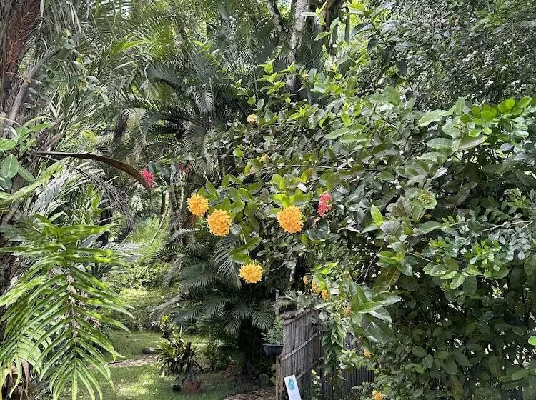 ホテル Pousada Horizonte Azul