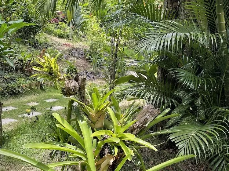 ホテル Pousada Horizonte Azul