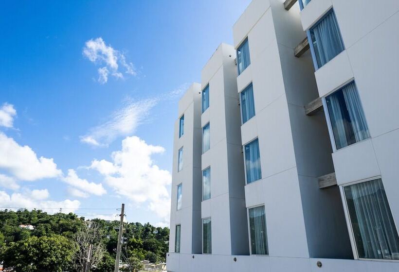 هتل Royal Delonix