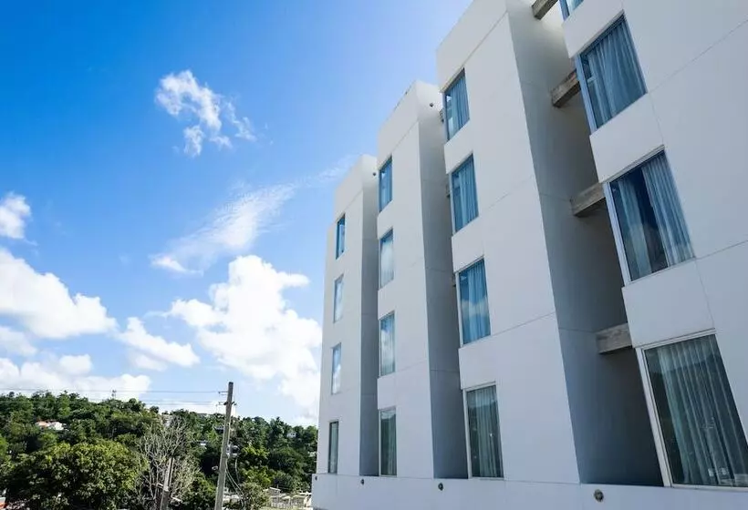 هتل Royal Delonix