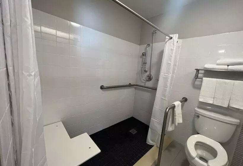 هتل Royal Delonix