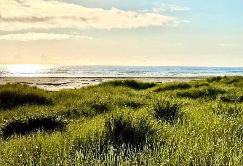 Motelli Arena Del Mar