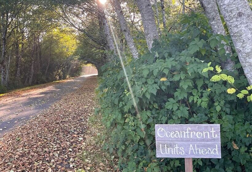 모텔 Arena Del Mar