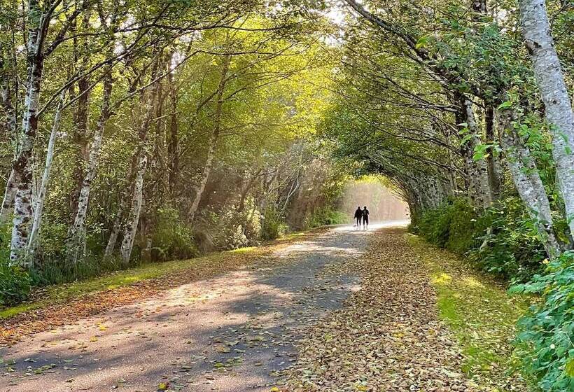 모텔 Arena Del Mar