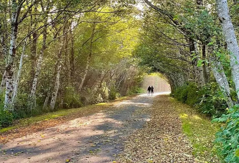Motelli Arena Del Mar