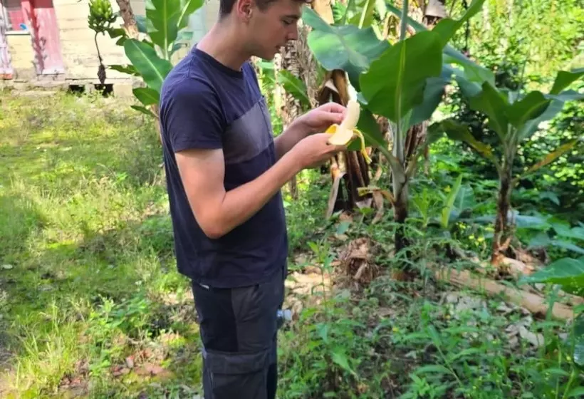 پانسیون Jay S Guest House Ii