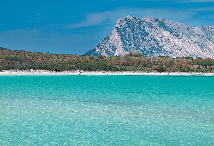 Rezydencja Appartamenti L Avru