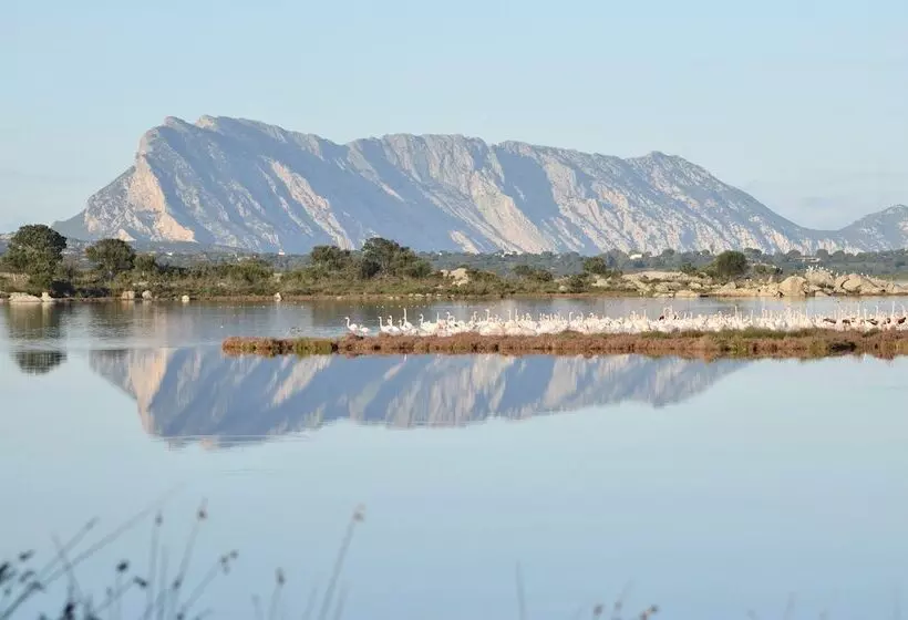 Residenssi Appartamenti L Avru