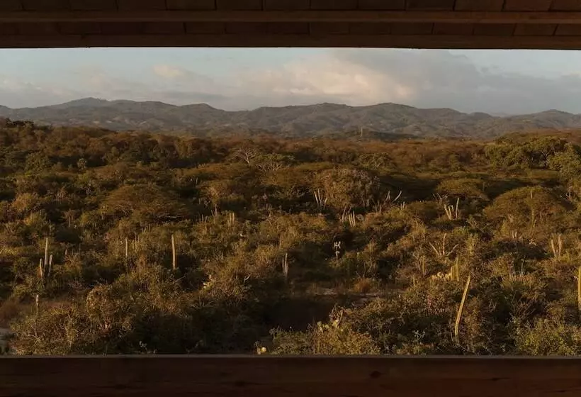 Terrestre, A Member Of Design Hotels