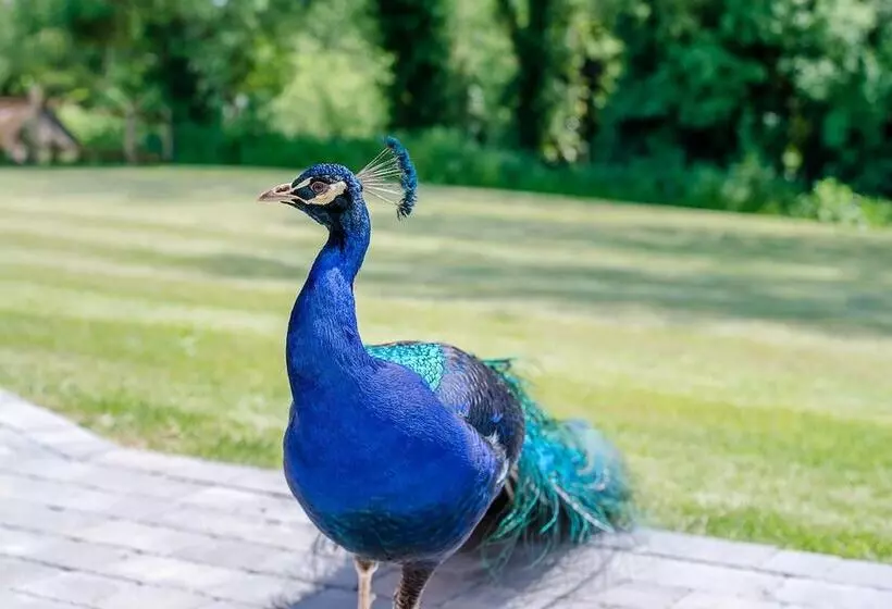 Chapel Cottage, Pond Hall Farm, Hadleigh