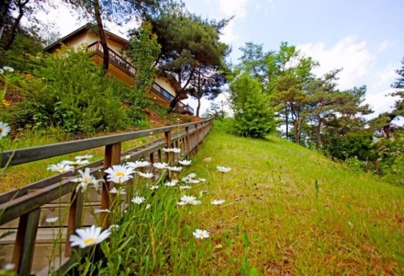 Danyang Sky Garden Pension