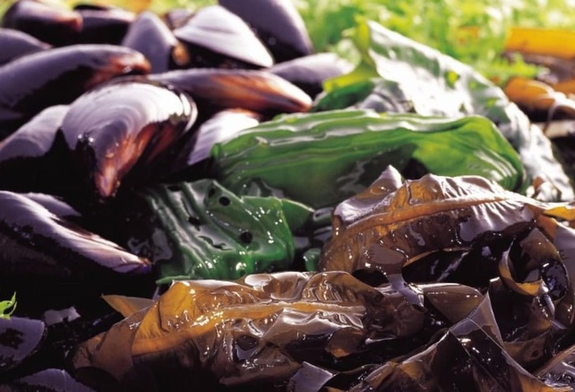 Goheung Naro In Byeolbit Pension