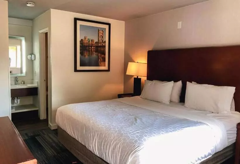 Hotelli Super 8 By Wyndham San Jose Airport