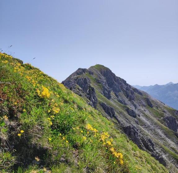 ホテル Firstpeak Zauchensee
