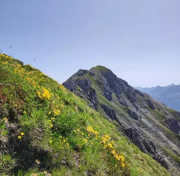 ホテル Firstpeak Zauchensee