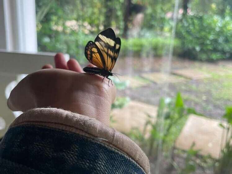 酒店 Santa Rosa Comitan