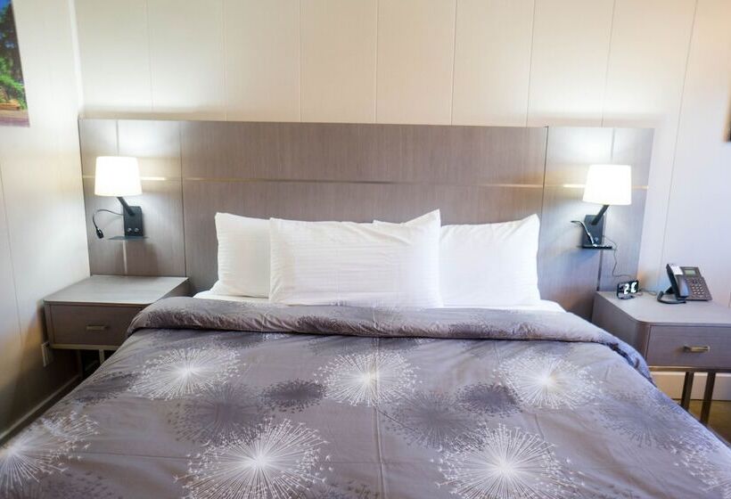 فندق Stay Express Inn Chattanooga