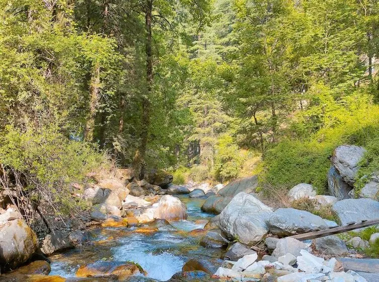 Madpackers Jibhi   Hostel