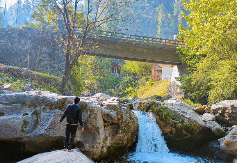 Madpackers Jibhi Hostel