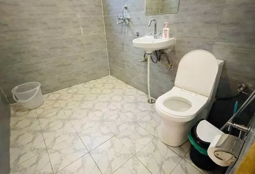 Madpackers Jibhi   Hostel