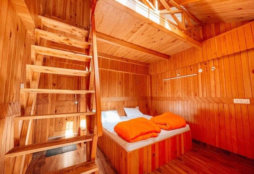 Madpackers Jibhi Hostel