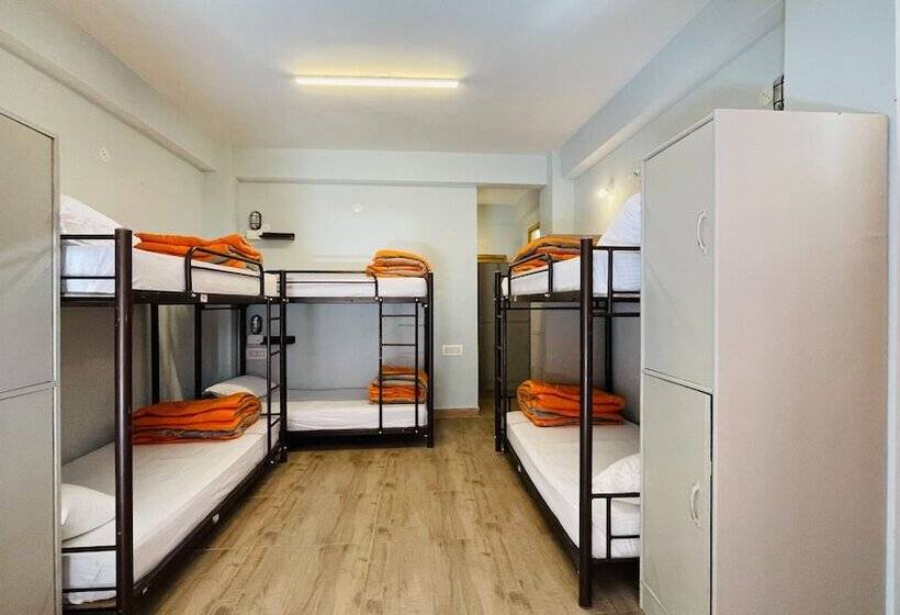 Madpackers Jibhi Hostel
