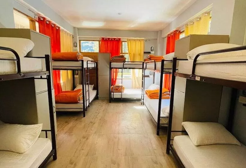 Madpackers Jibhi   Hostel