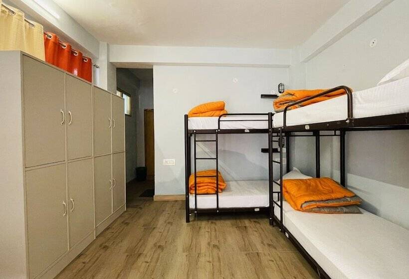 Madpackers Jibhi Hostel