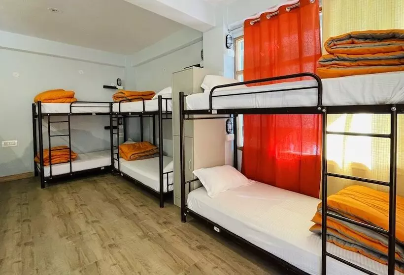 Madpackers Jibhi   Hostel