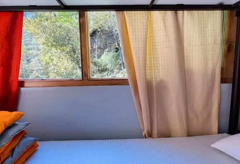 Madpackers Jibhi   Hostel