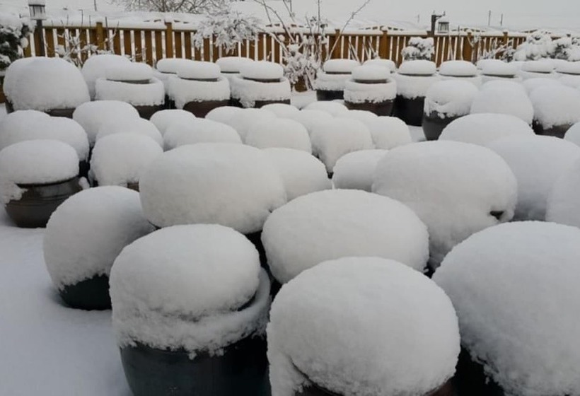 Naju Mejuggookpineun Naju Pension