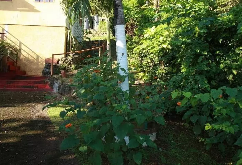 پانسیون La Familia Guesthouse