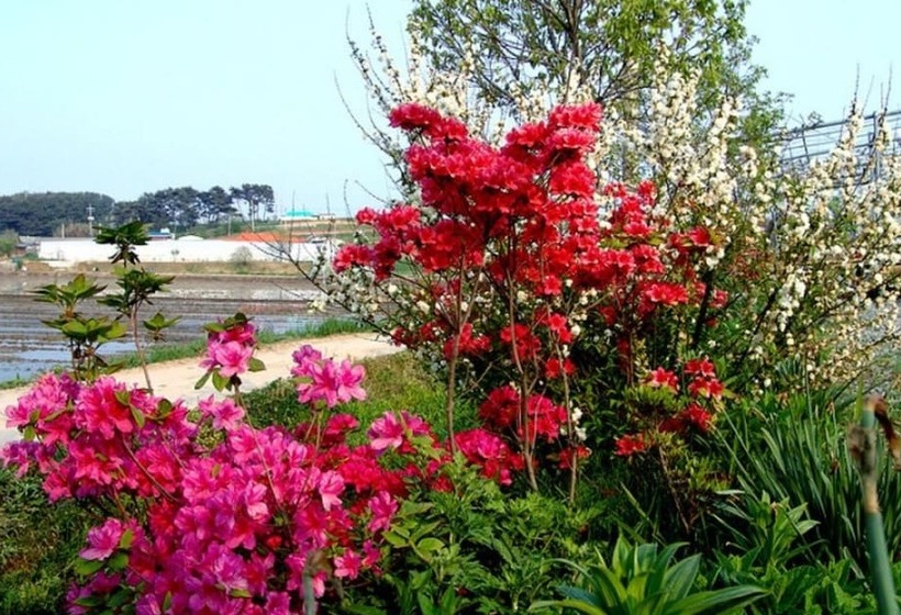 Taean Sujung Pension