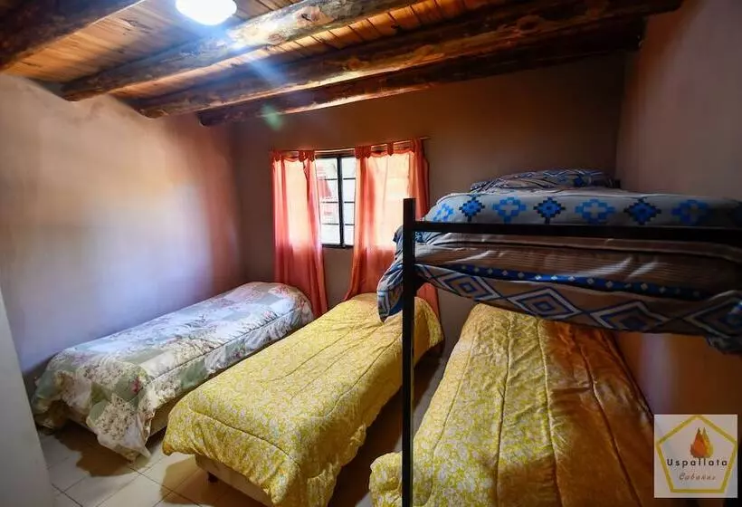 Cabañas Uspallata