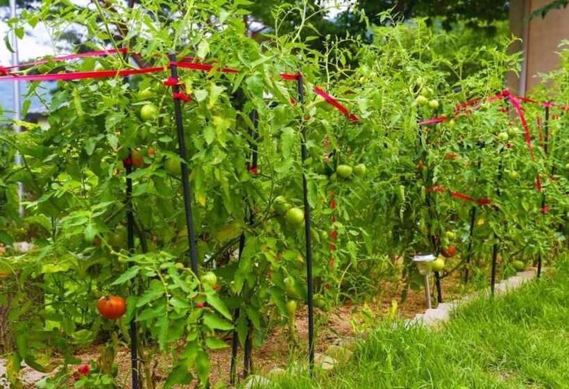 Yangpyeong Healing Day Pension