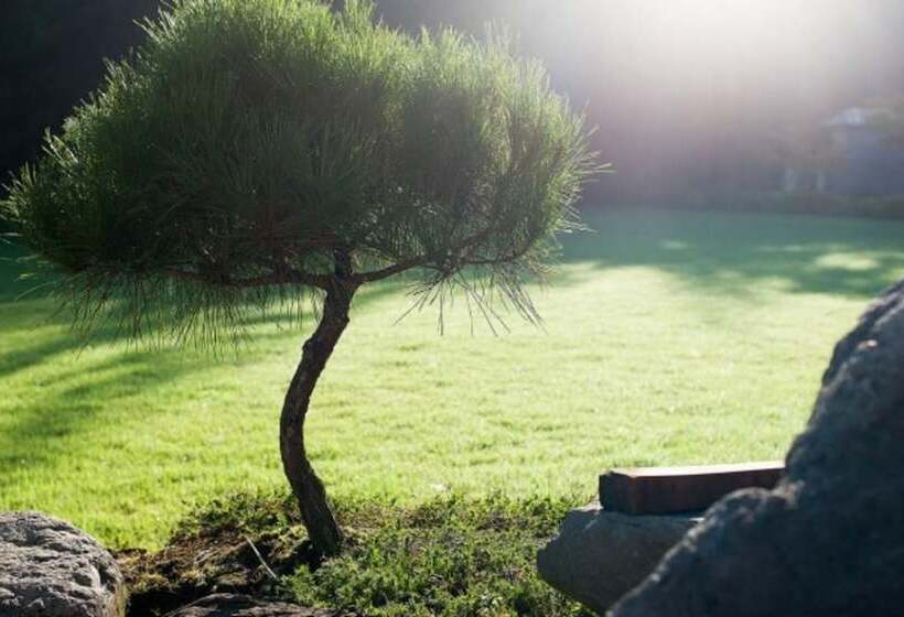 Damyang Clover Pension