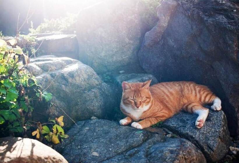 Damyang Clover Pension