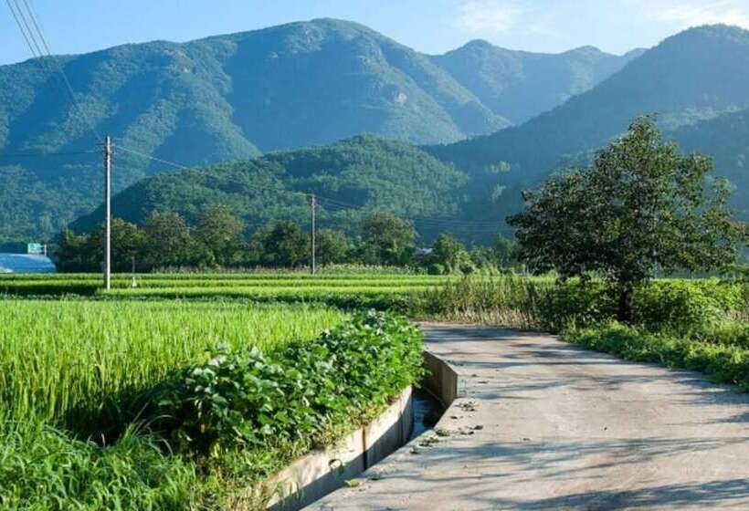 Damyang Clover Pension