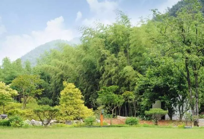 Damyang Clover Pension