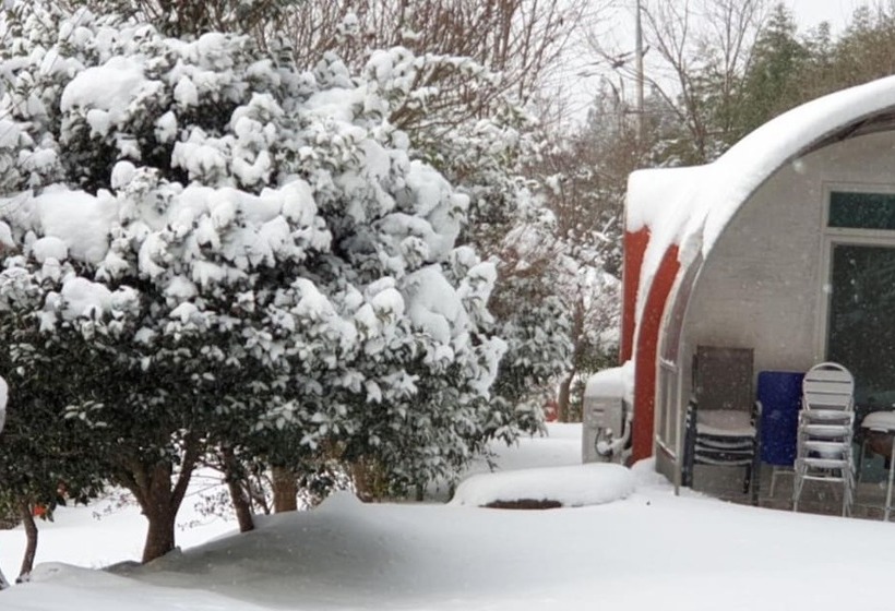 Damyang Firefly Pension