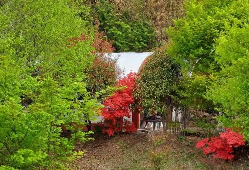 Damyang Firefly Pension
